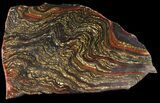 Polished Tiger Iron Stromatolite - ( Billion Years) #38916-1